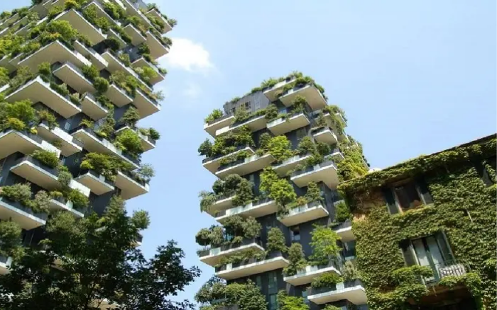 Giải Pháp Thiết Kế Khách Sạn Tối Ưu Nhất