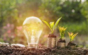 thiết kế khách sạn