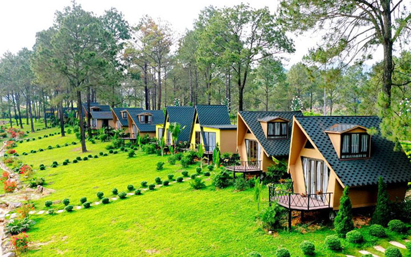 Thiết kế resort homestay mini